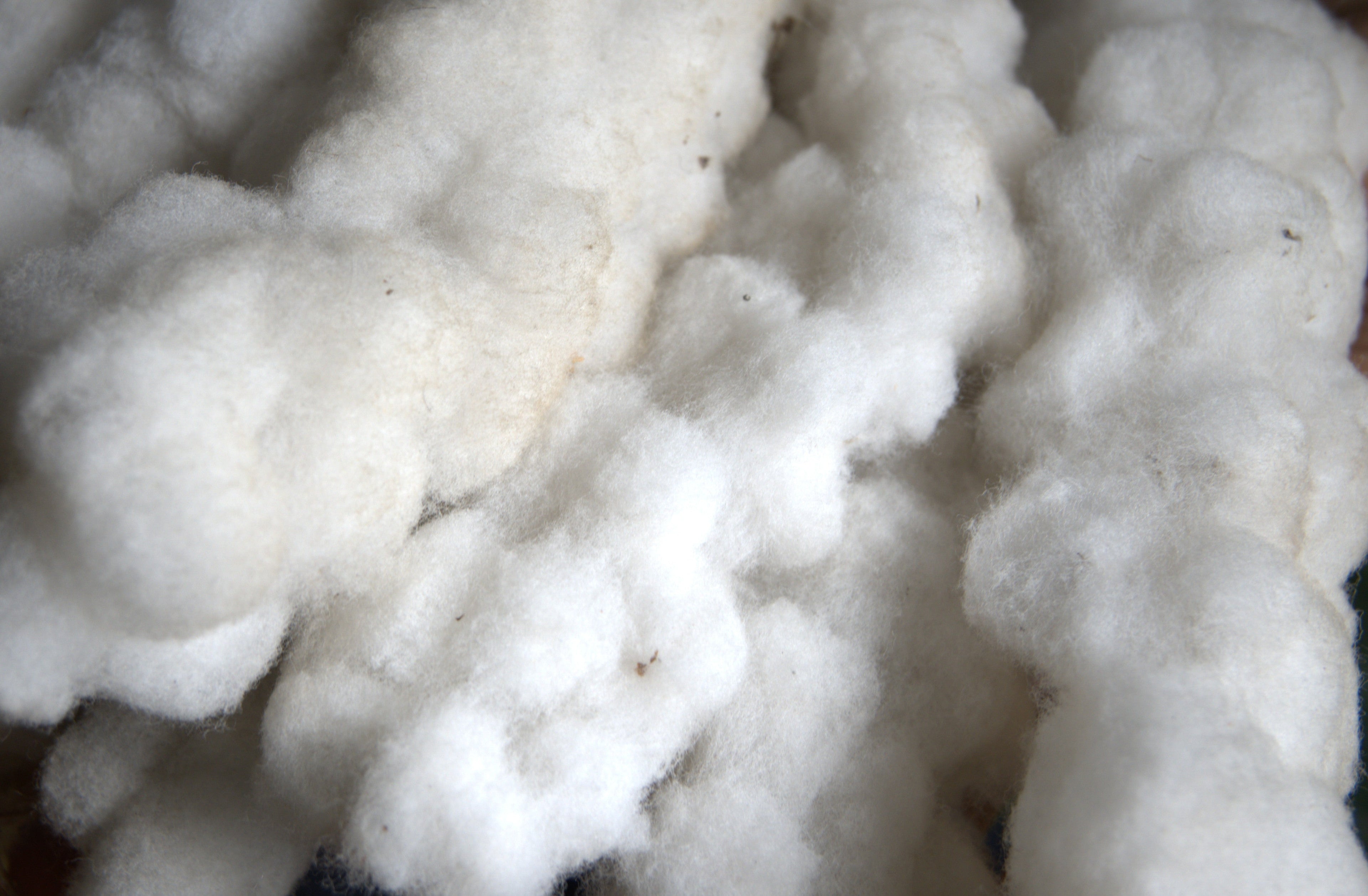 A.BA Cotton